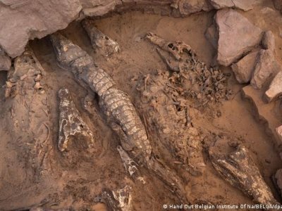 /2023/01/25/egipto-encuentran-momias-de-cocodrilo-con-mas-de-mil-anos-de-antiguedad