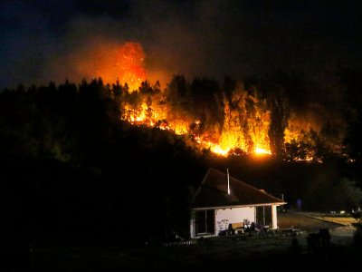 /2023/02/02/minagri-alerta-sobre-triangulo-peligroso-que-aumenta-riesgos-de-incendios-forestales
