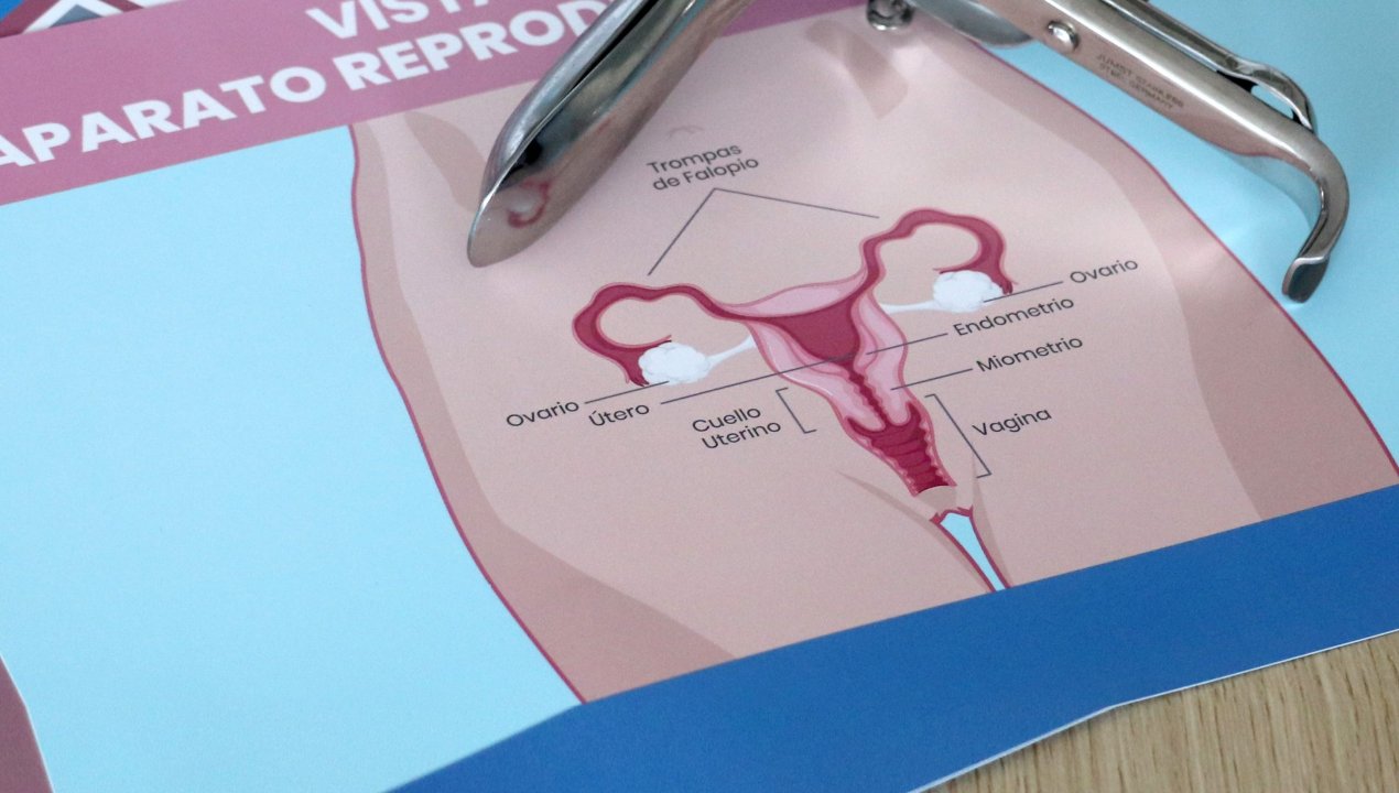 /dia-del-cancer-cervicouterino-mas-de-100-mujeres-han-sido-diagnosticadas-en-los-ultimos-4-anos-en-atacama