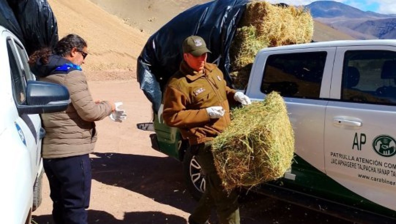 /carabineros-y-municipalidad-de-copiapo-fortalecen-trabajo-preventivo-en