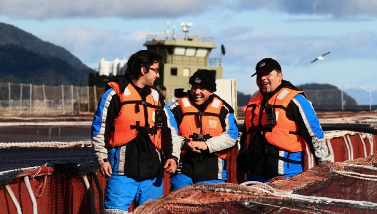 /francisco-renner-salmonchile-la-industria-dejo-de-hablar-solo-de