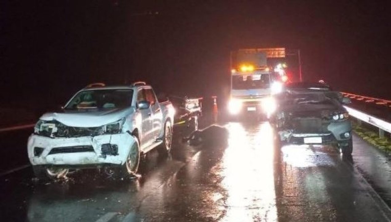 /grave-accidente-en-purranque-120-vacunos-invaden-la-ruta-5-y-provocan