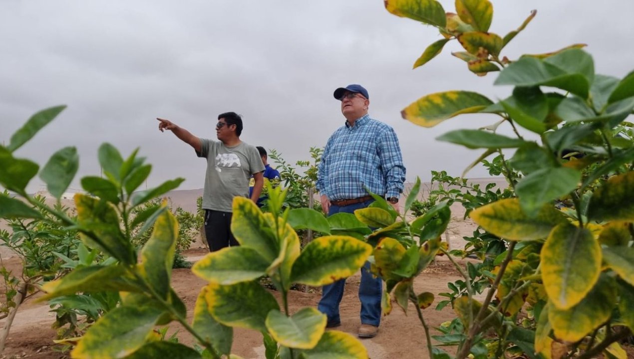 /incremento-en-el-valor-de-los-arriendos-de-sus-predios-agricolas-de-hasta