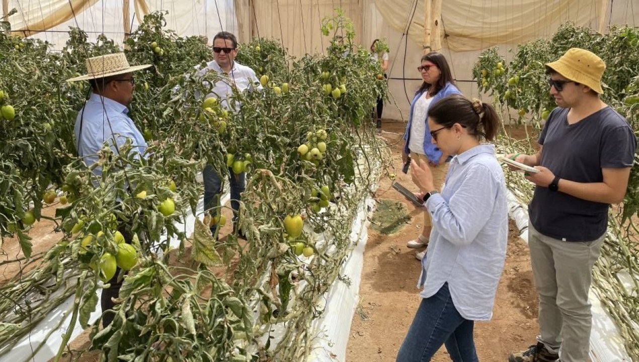 /bid-conocio-modelo-de-negocio-de-la-cooperativa-de-servicios-agricolas-de