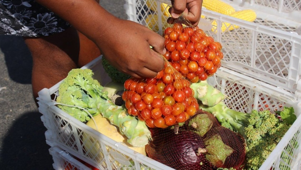 /usuarios-as-realizan-trabajos-comunitarios-recolectando-alimentos-para