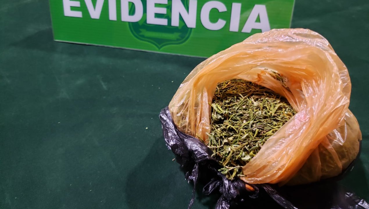 /perro-detector-de-droga-permitio-la-incautacion-de-170-dosis-de-marihuana