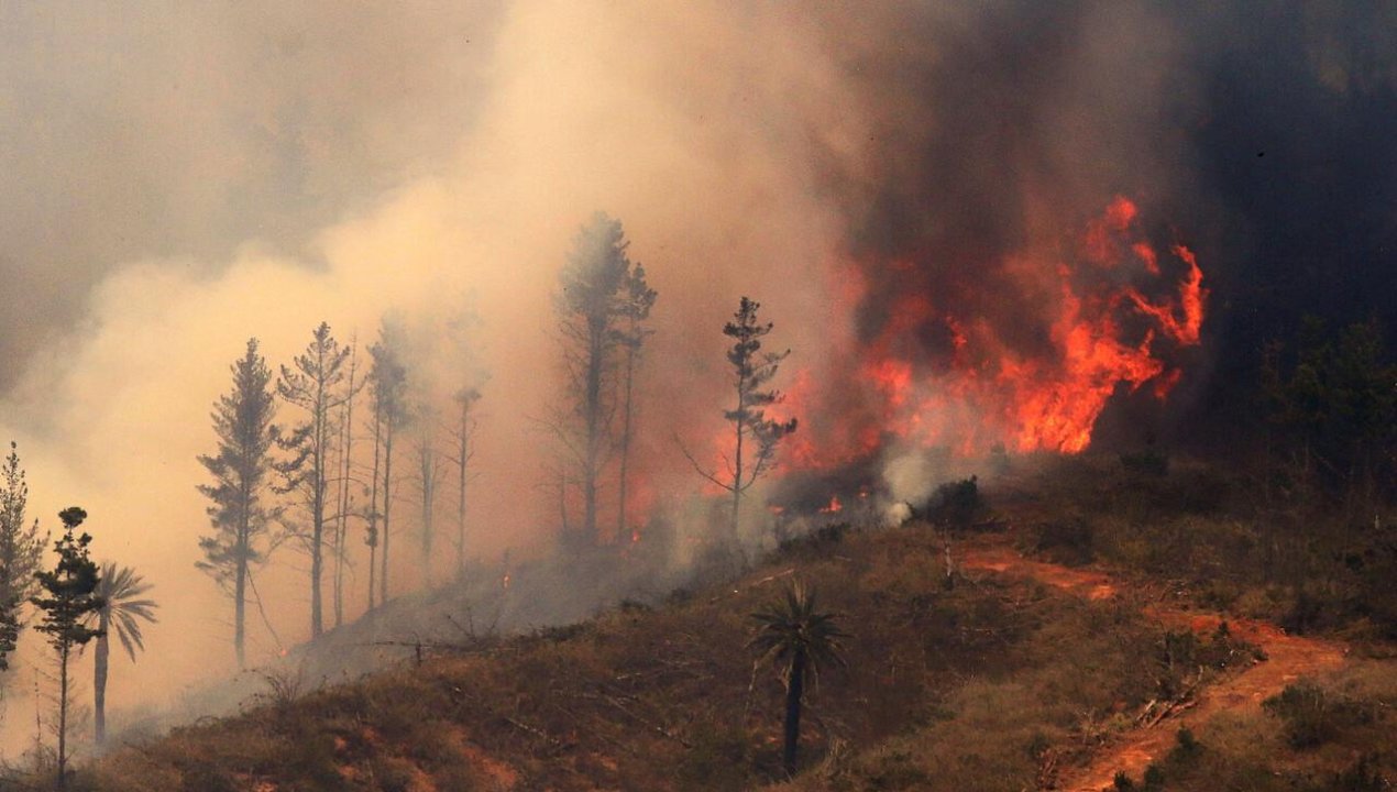 /temporada-de-incendios-2022-2023-mas-de-1-900-incendios-se-registran-a-la-fecha