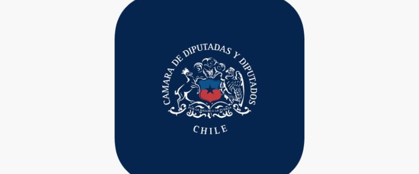 Estos son los diputados electos por distrito