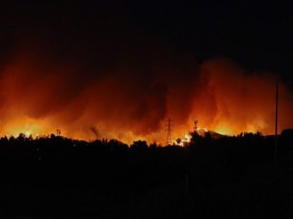 Incendio forestal avanza desde San Jorge hacia Palomares en Concepción y vecinos se resisten a evacuar